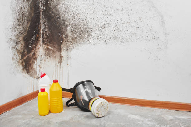 Best Water Damage Restoration  in Antigo, WI